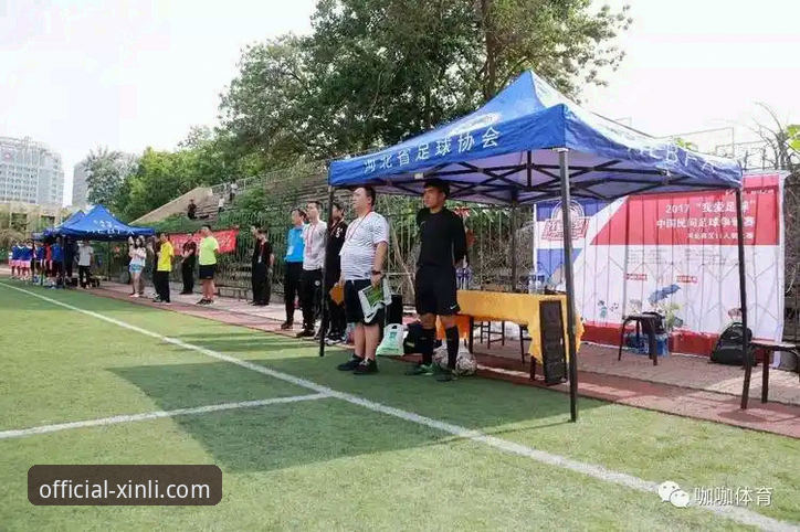 从业余到专业：资深玩家分享新利体育最新版下载与平台使用心得